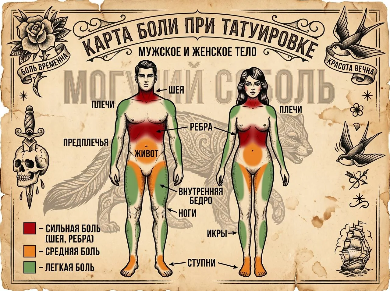 Карта боли при татуировке, вид спереди